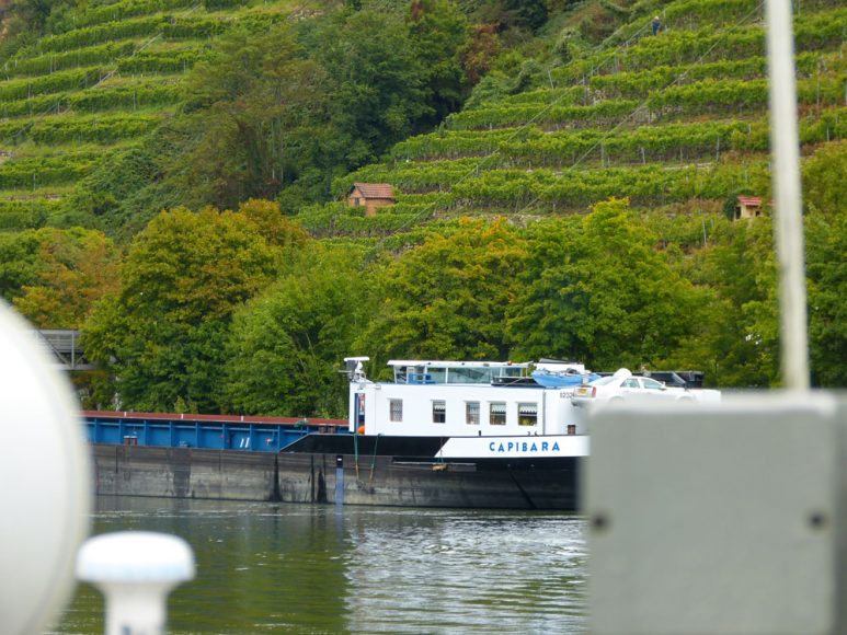 Auch auf Wasserstraßen gilt: Rechts vor links. (Quatsch, kein Plan, die waren eh schneller.) 